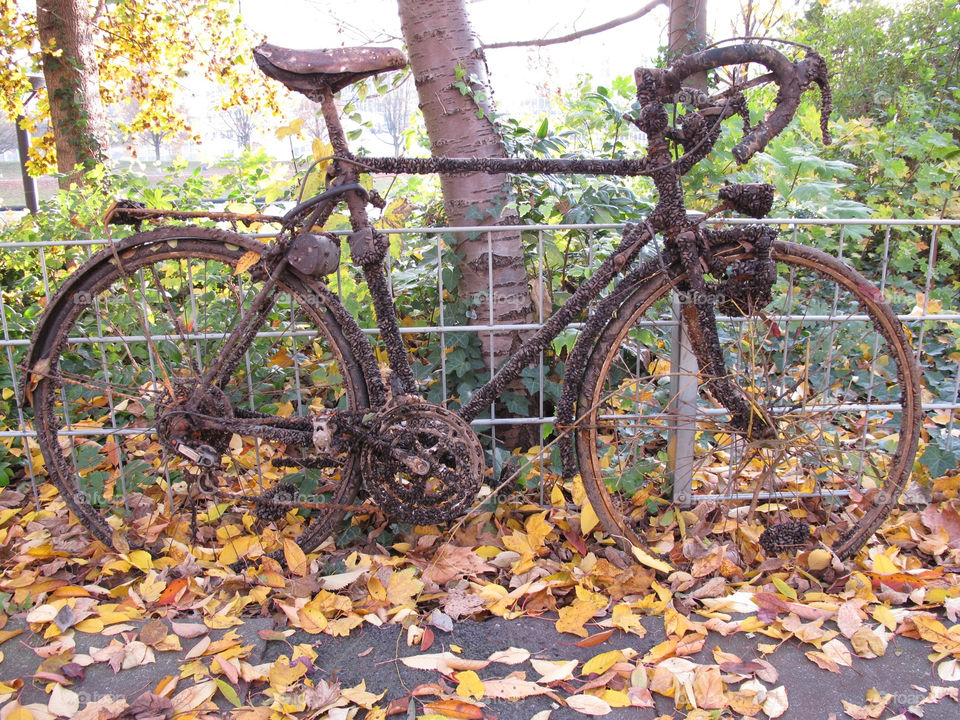 bicycle leaves autumn old by shotmaker