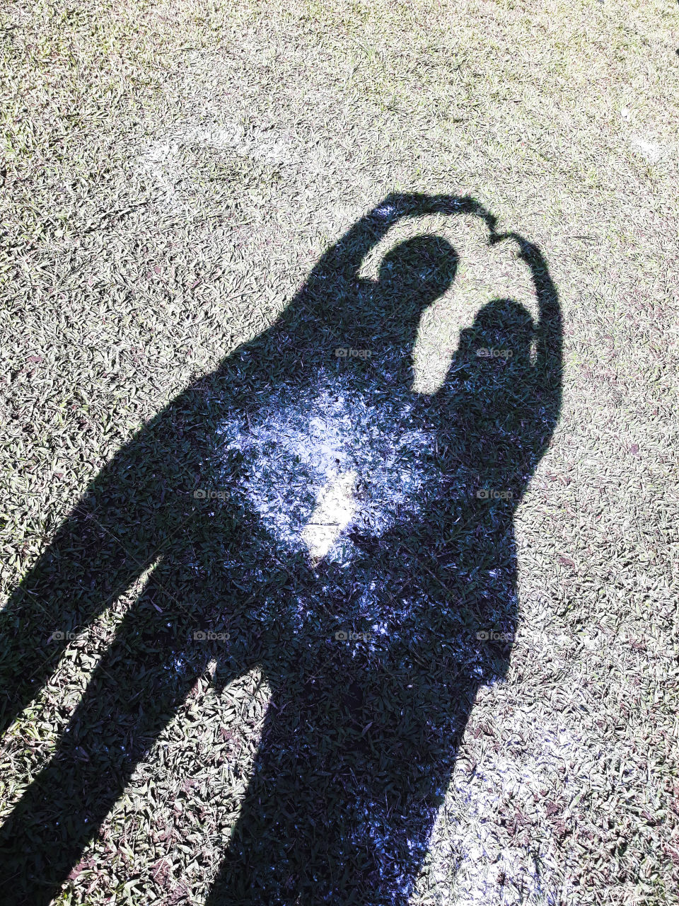 Show me your shadow
