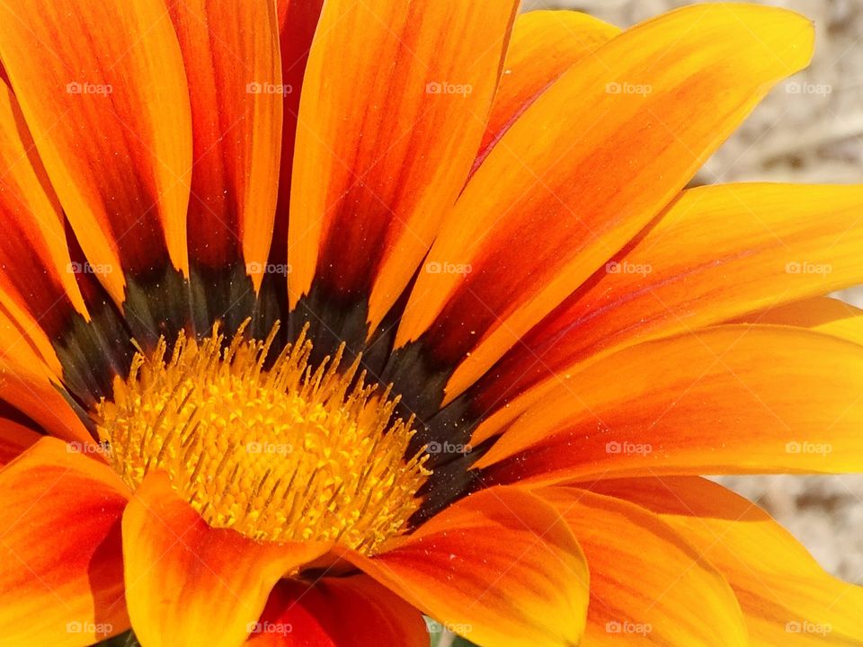 The best of photography