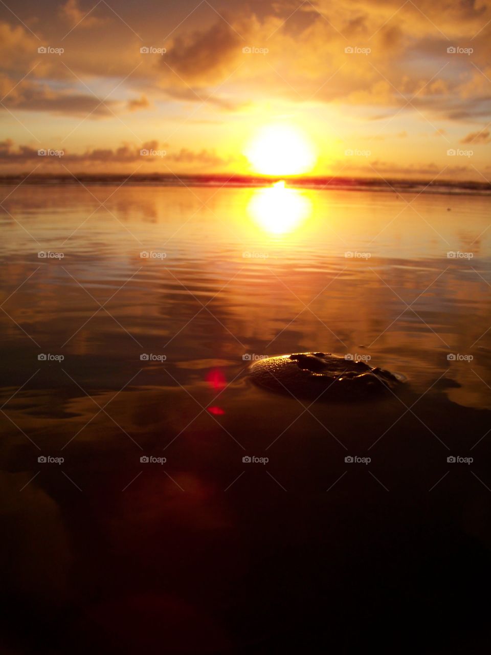 Sunset From Below. sunset