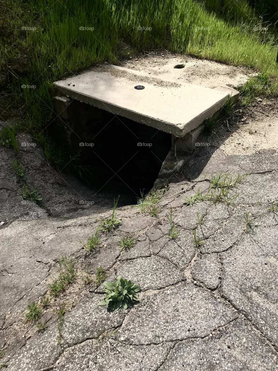 Drainage 