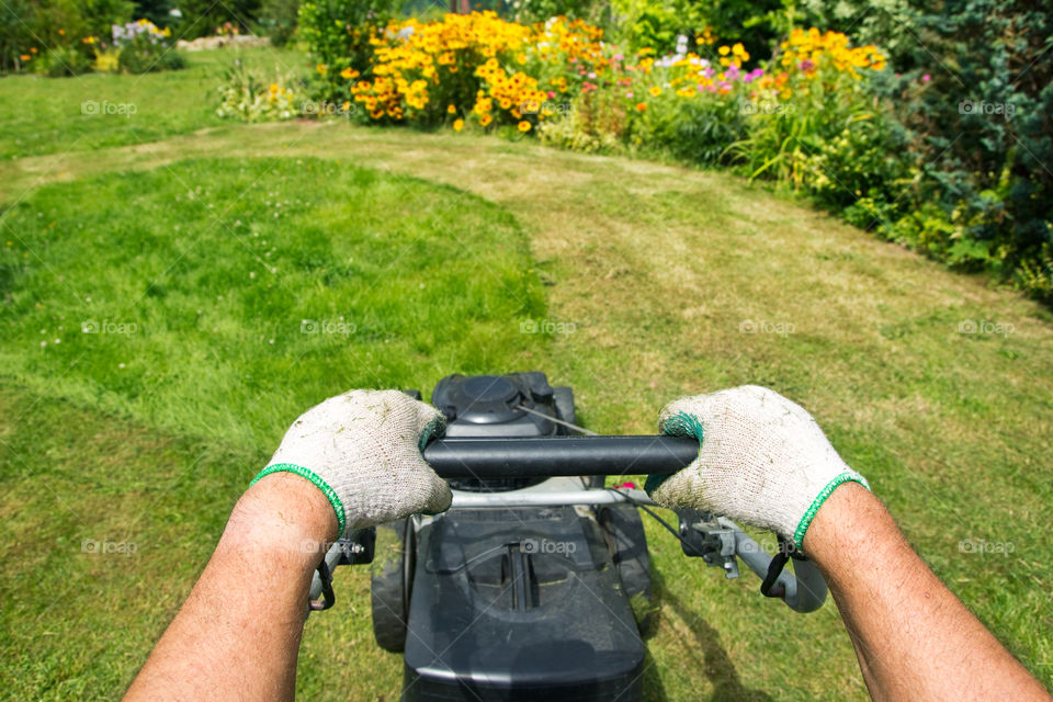 Mowing lawn in the garden