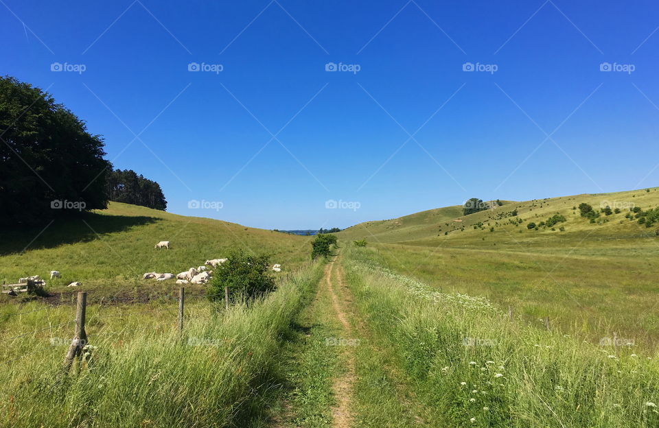 Hiking in Sweden