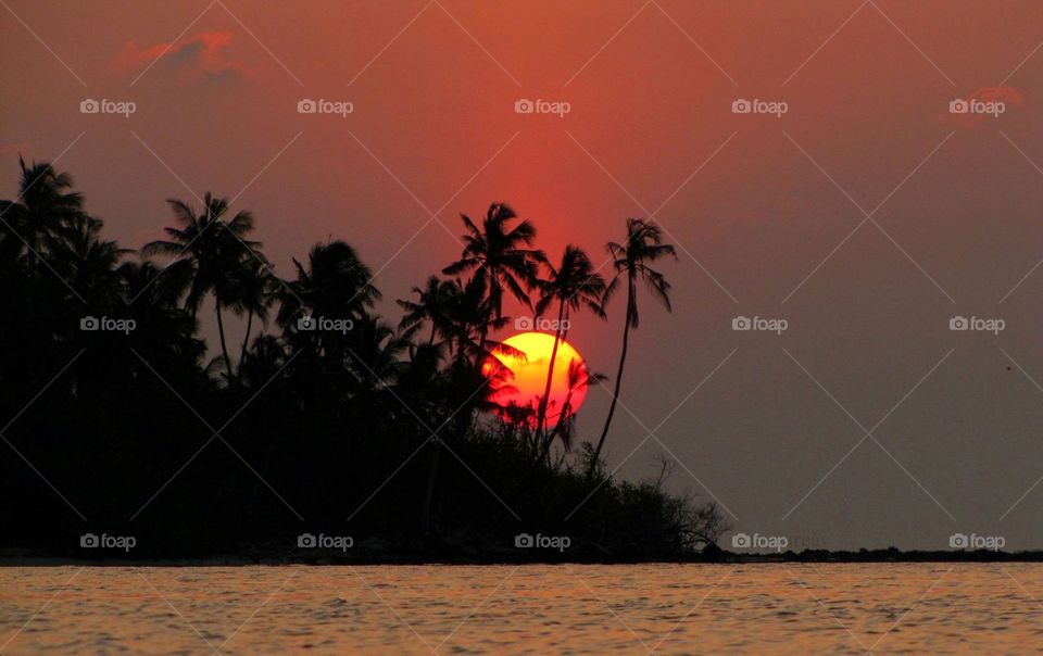 Sunrise Maldives 🇲🇻 
