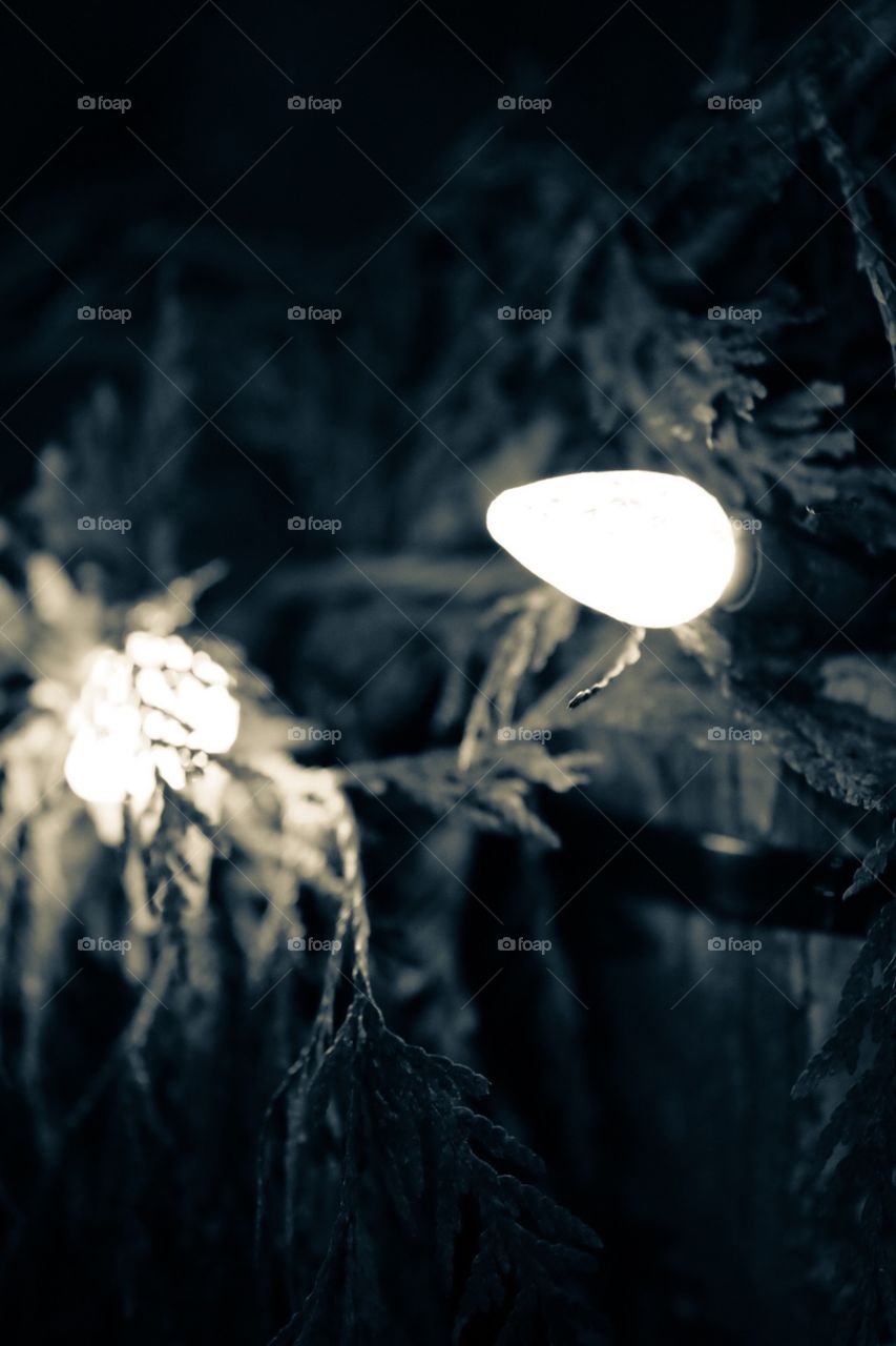 Monochromatic Christmas Bulbs Along Bridge Decorations 