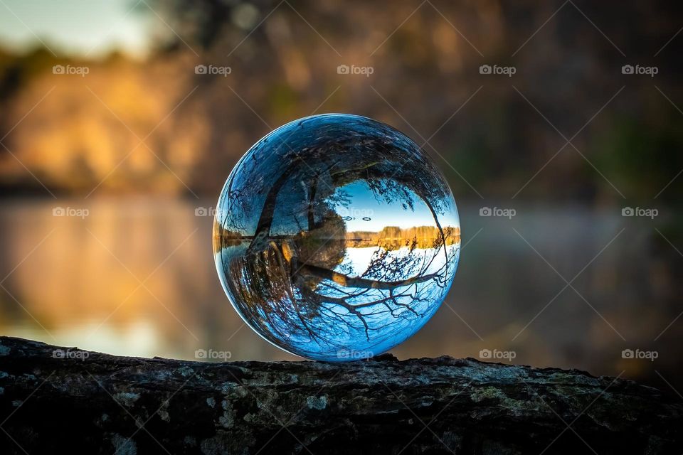 A lensball perched neatly on a downed tree to offer a beautifully inverted image of the lake and sky. 