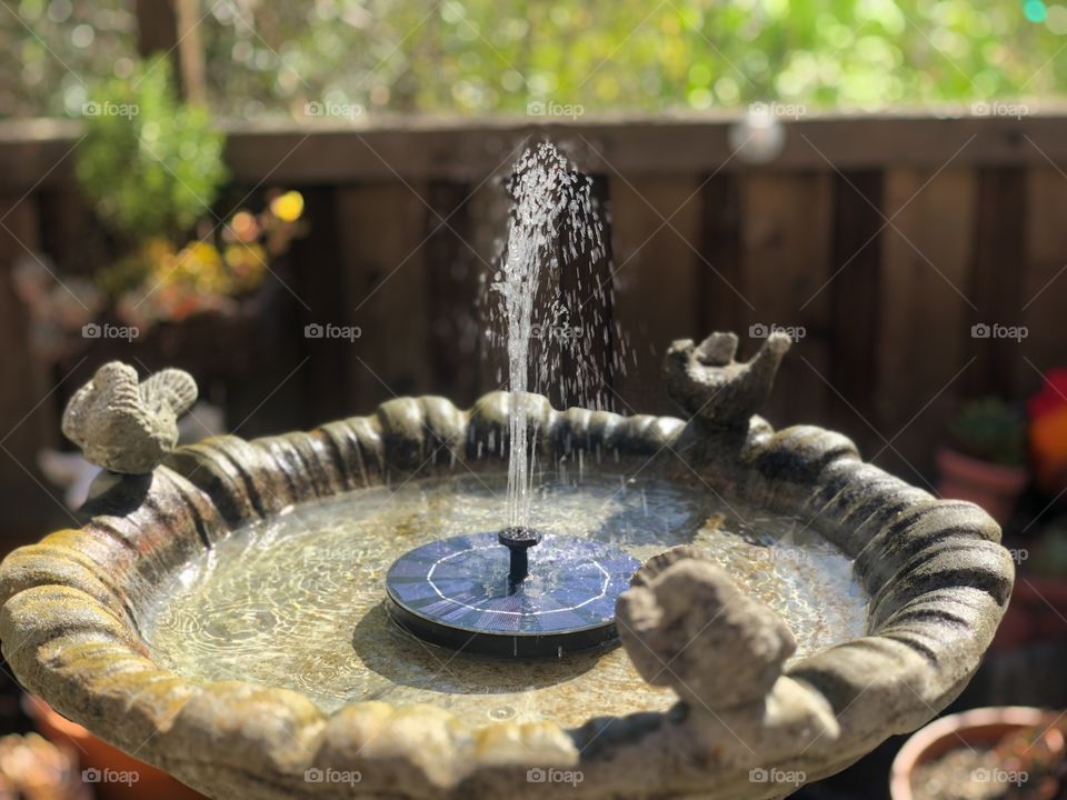 Birdbath Fountain