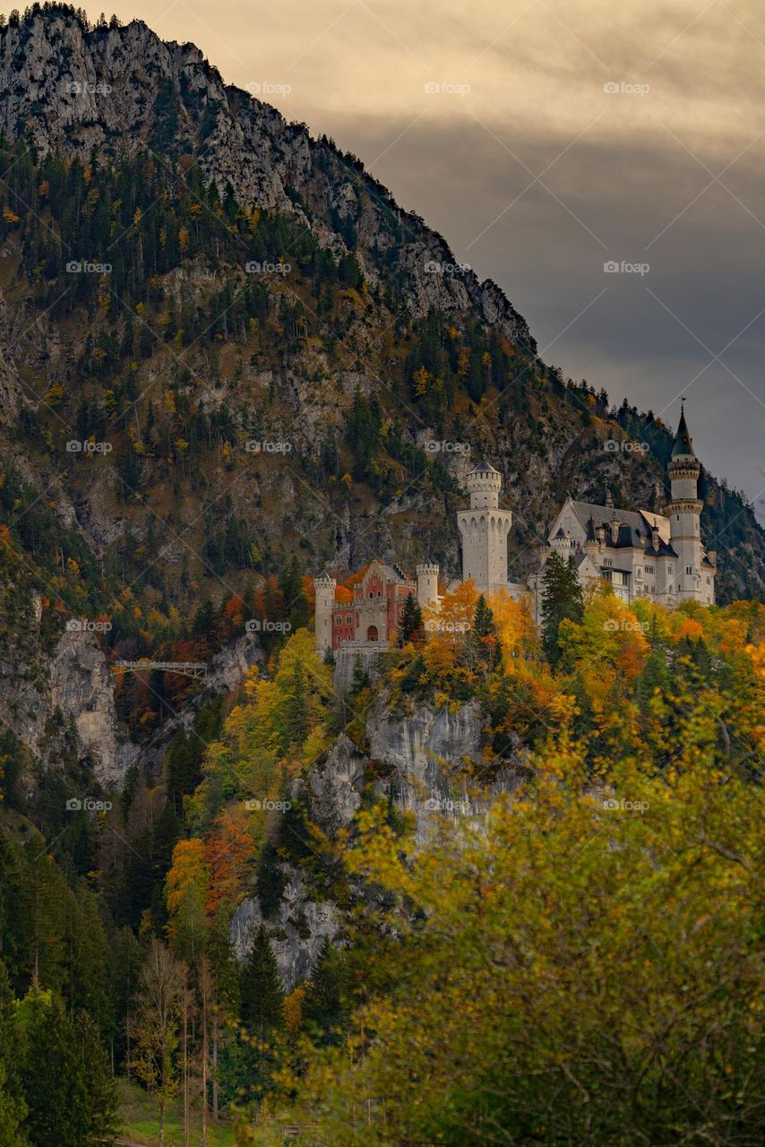 Autumn  Neuschwanstein Castle
