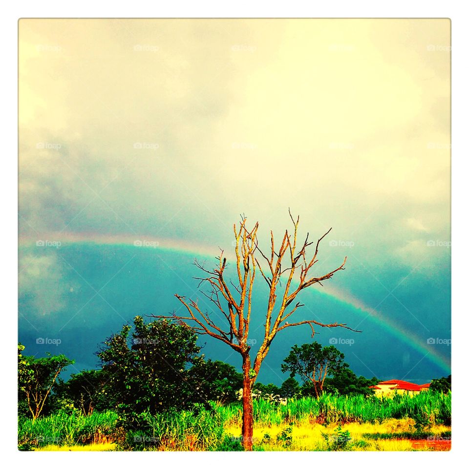 Um cenário encantador de uma tarde qualquer: o arco-íris depois da chuva na Divisa de Itupeva com Jundiaí!