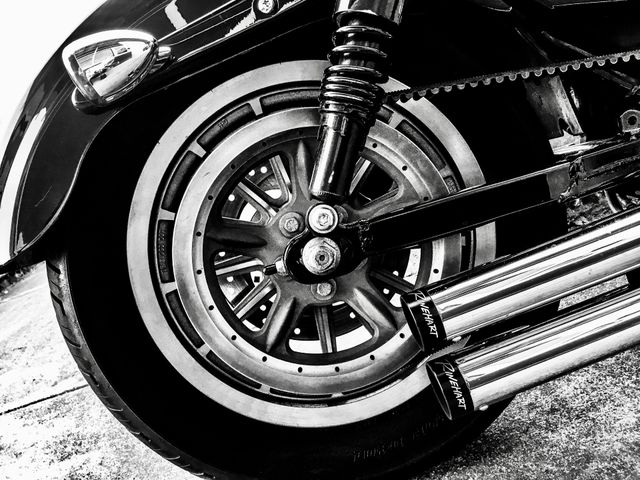 Harley in B & W