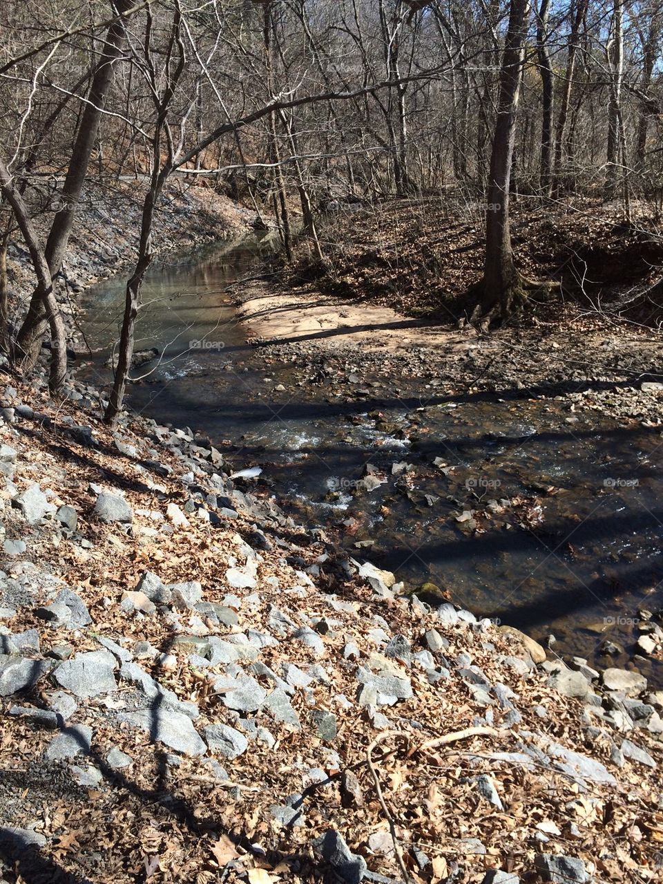 Creek and Rocks