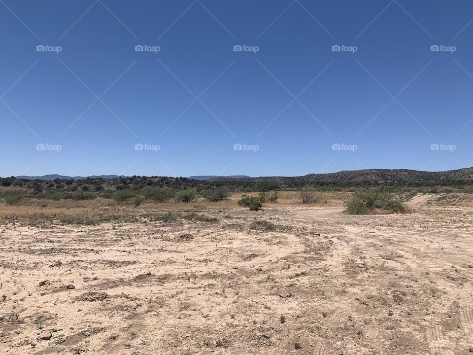 The immense of the deserts 🌵