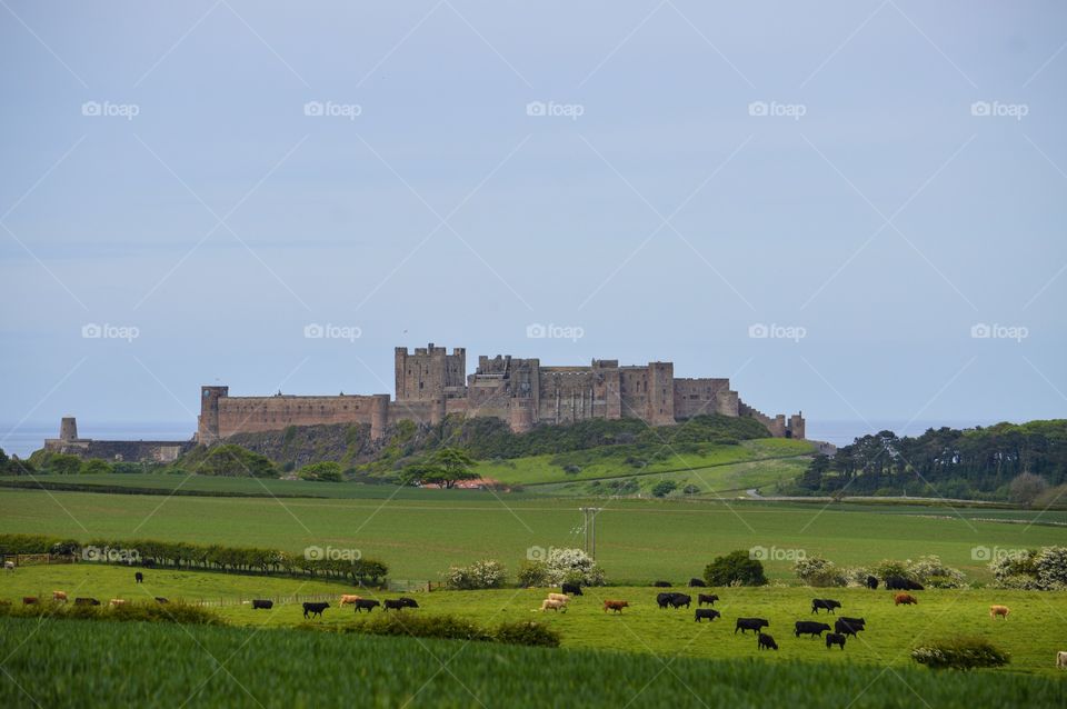 Bamburgh Castle from a country back road in Northumberland 