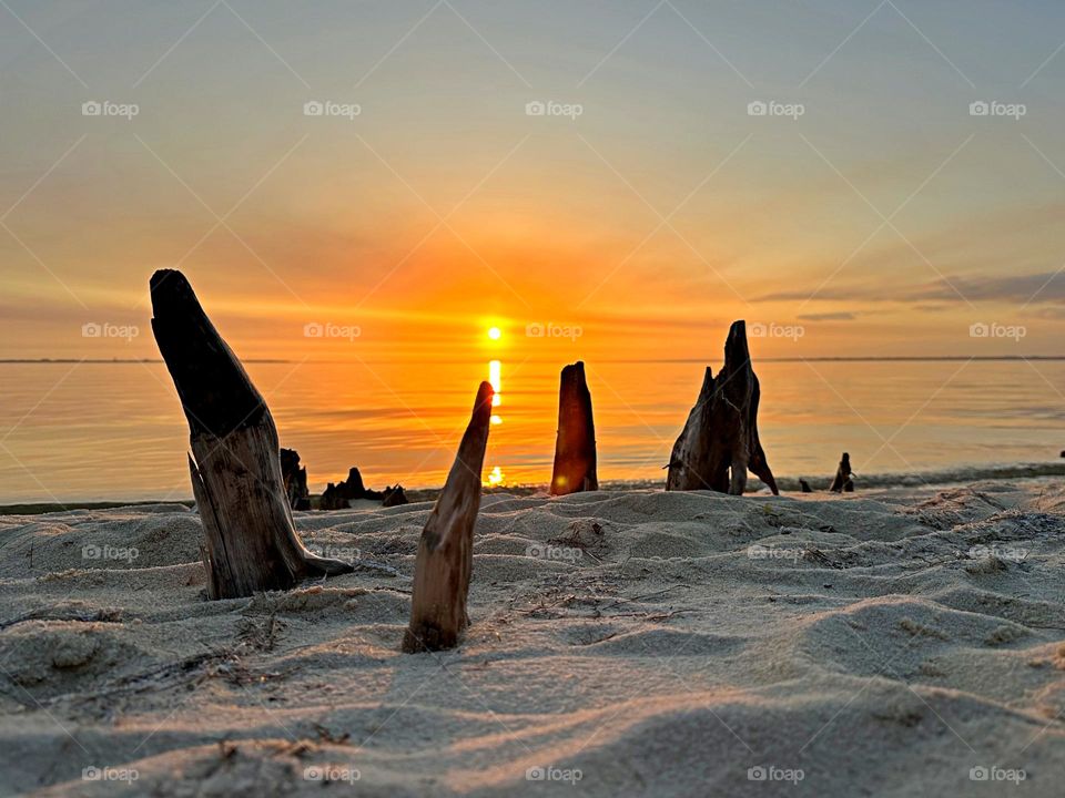 Spectacular descending sunset and driftwood raised above the sand, as the sun reflects on the crystal white sand 