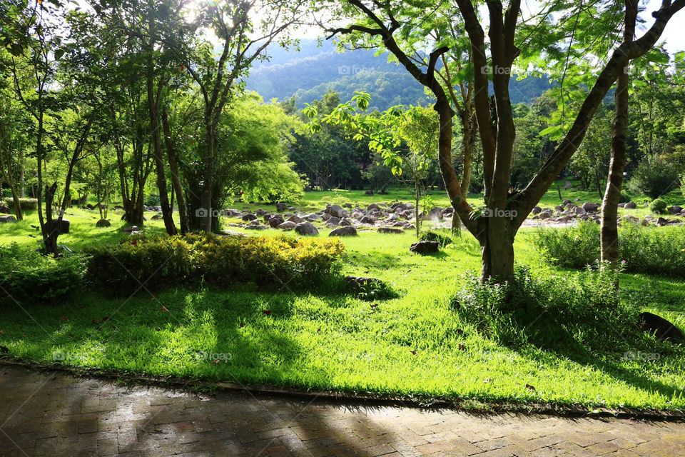 Hot spring. Hot spring and nature at jae son, lampang, thailand