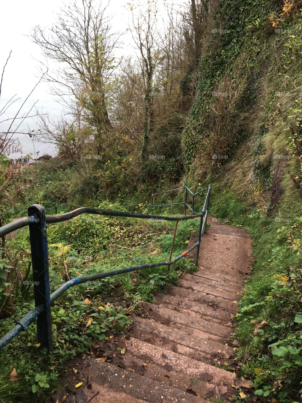 The glorious Devon’s Maidencombe beach awaits walkers following this path.