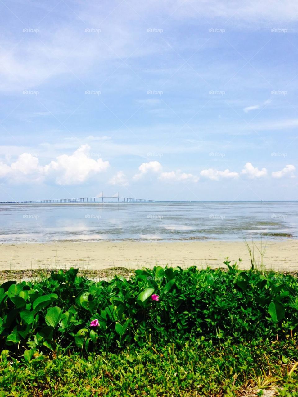 Skyway bridge view