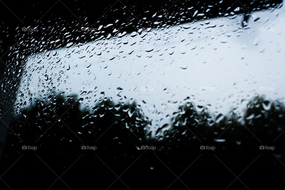 Rainy Day City Vibes