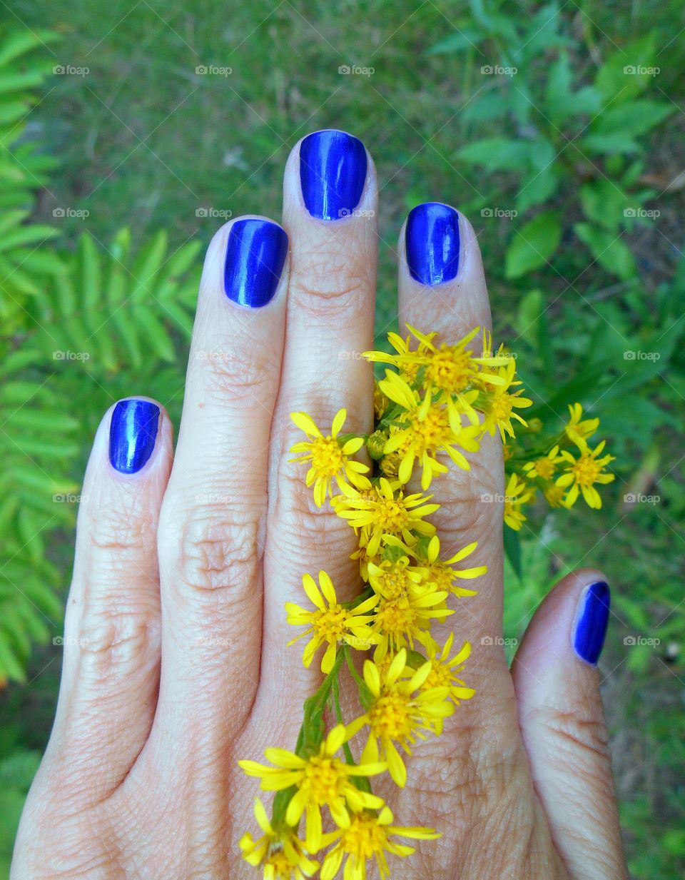 hand female beauty and flowers