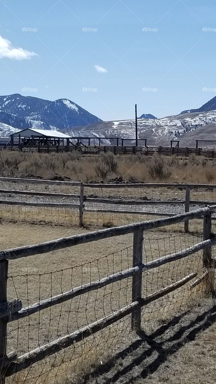 Spring Time on the Ranch