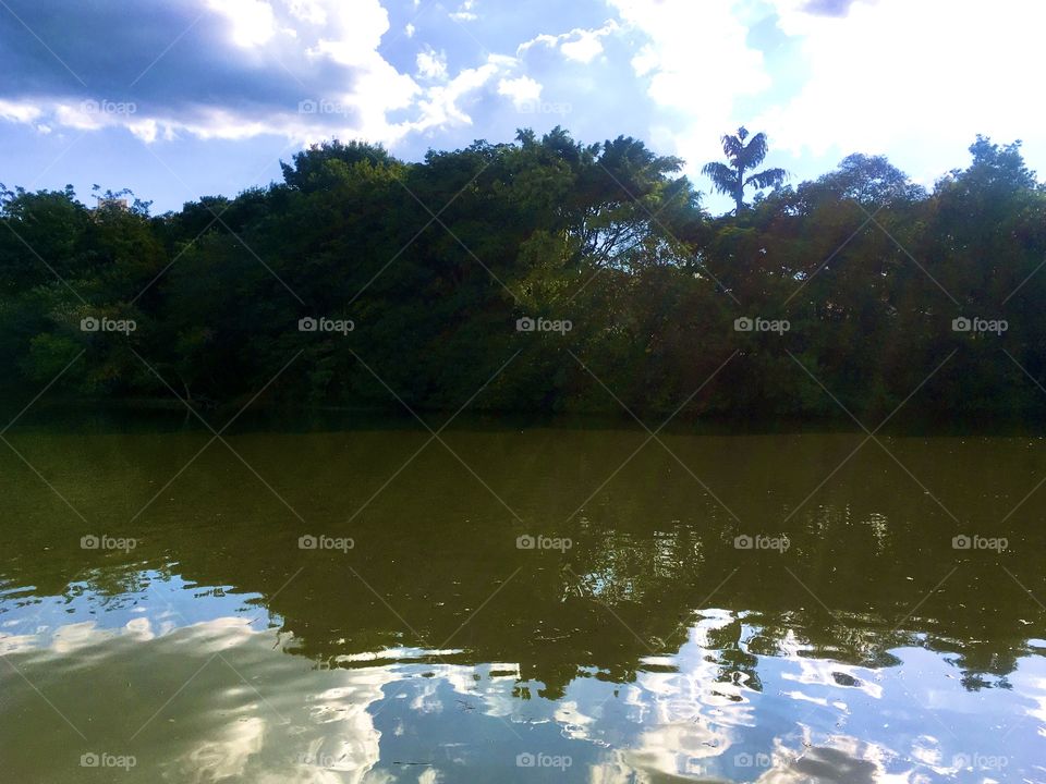 A beautiful image of the Eloy Chaves Botanical Park, with the reflection of the trees in the lake and the endless sky at the top! (Brazil) / Uma bela imagem do Parque Botânico Eloy Chaves, com o reflexo das árvores no lago e o céu infinito ao alto!