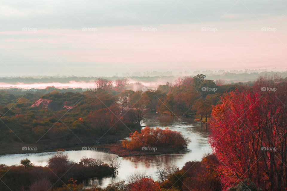 foggy morning under river on autumn