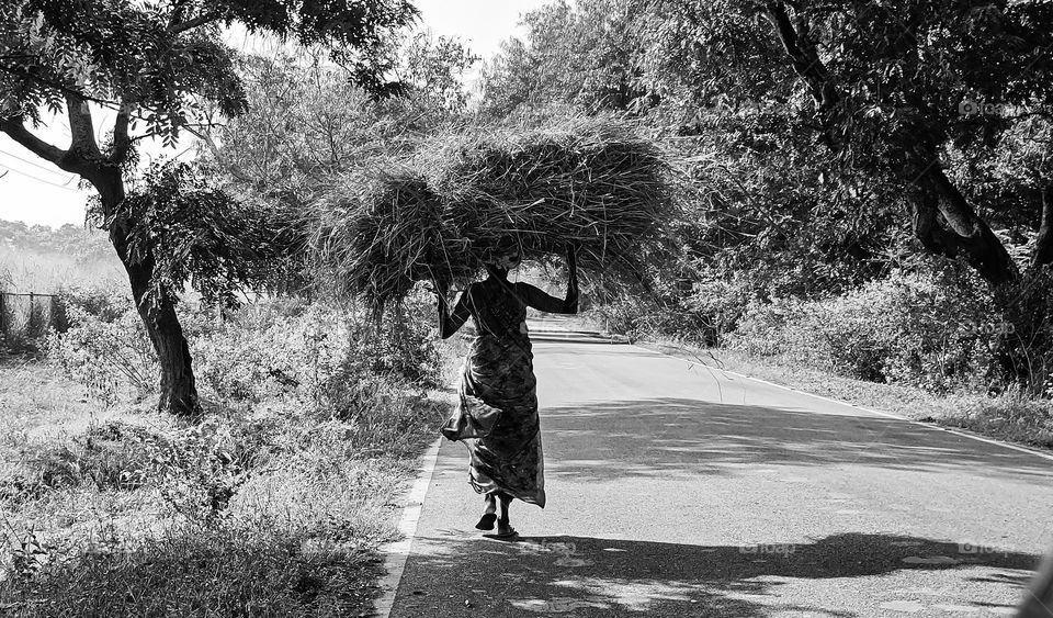 A women who is working hard to earn to run her family.. work to eat