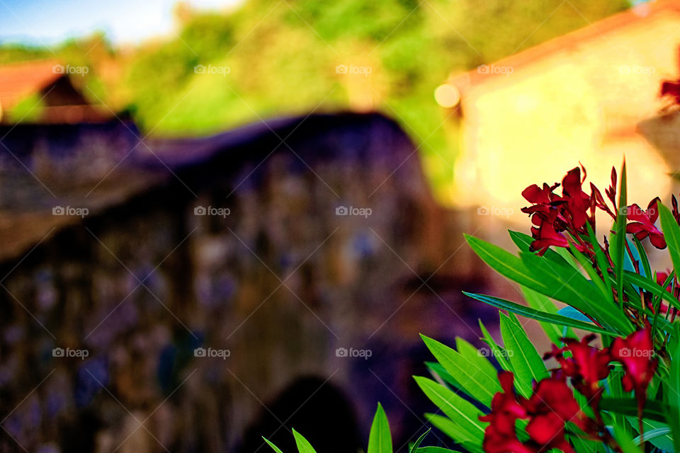 Exploring Camino Frances