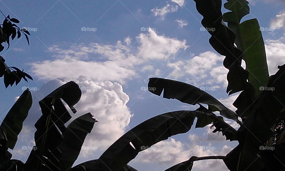 cloudy afternoon . I saw the clouds while I take my laundry