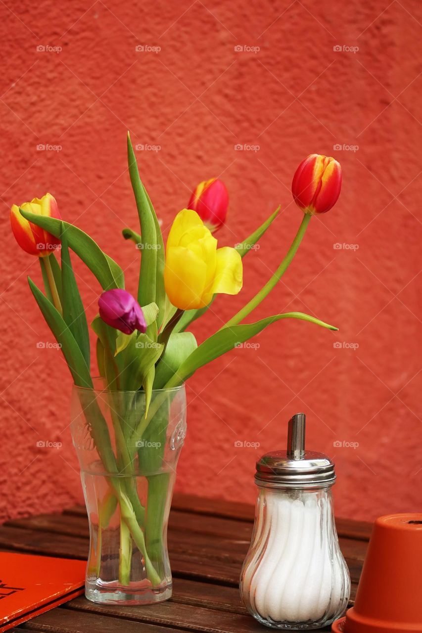 Colorful tulips 