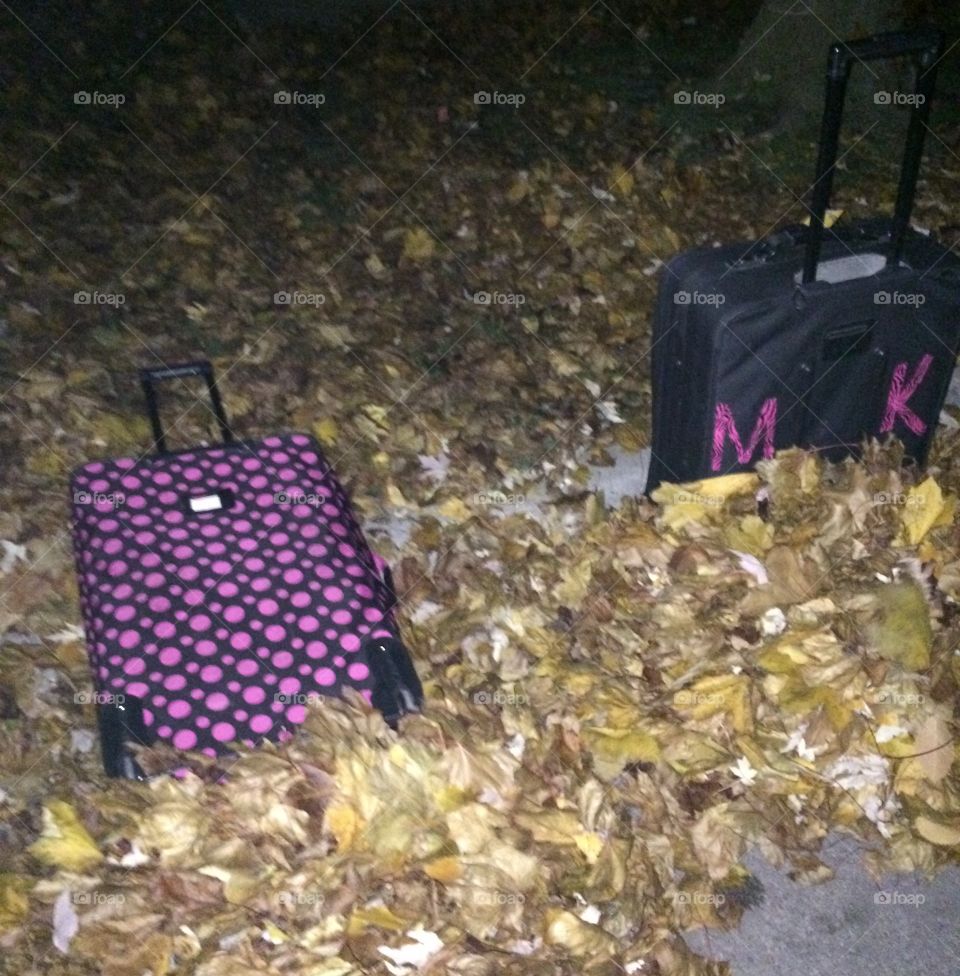 pink luggage 