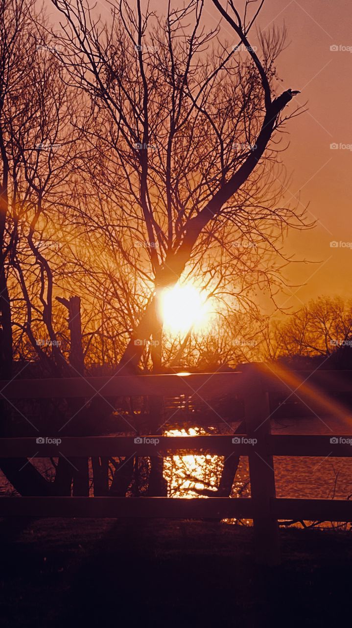 Beautiful Sunset working Reflections of lake sun rays cracking through branches enhancing backlit colors. 