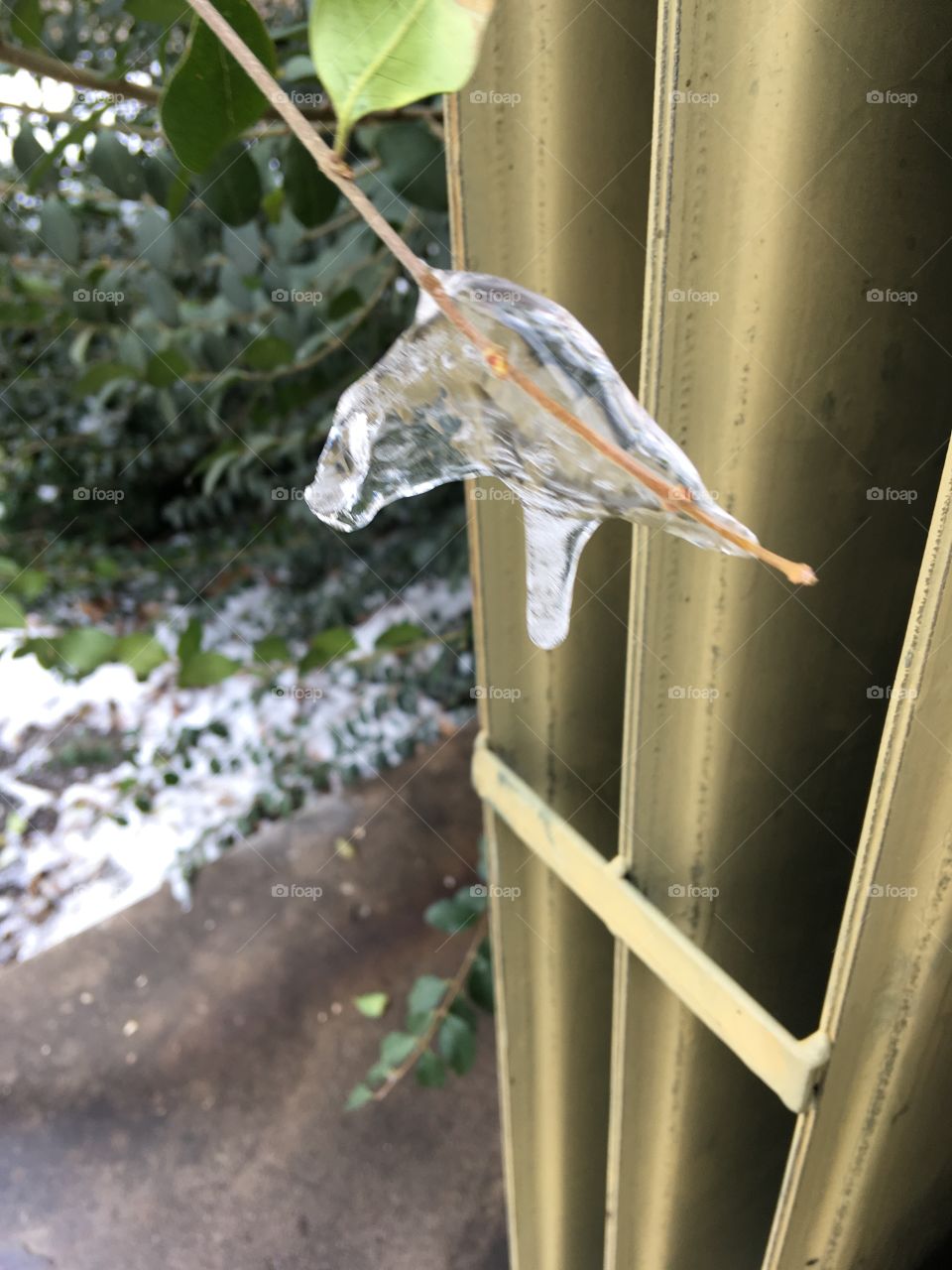 Ice hanging onto a twig. You can see snow on the ground and this is March WoW! To cold for me.