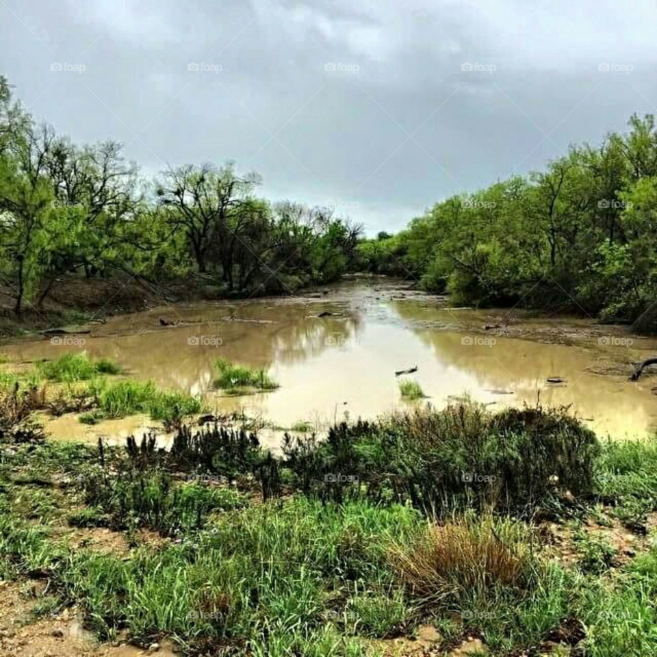 Flooded Ranch Land