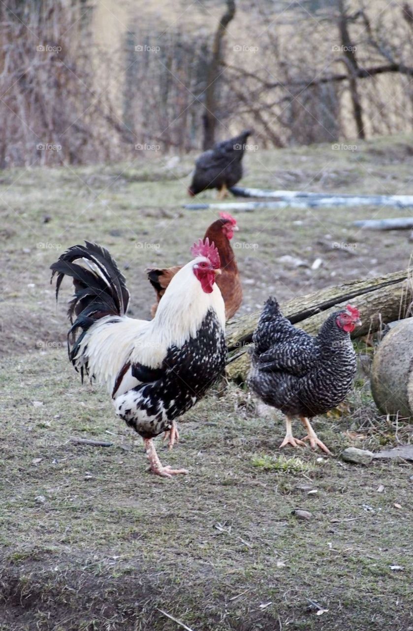 Is he not great? ☺️