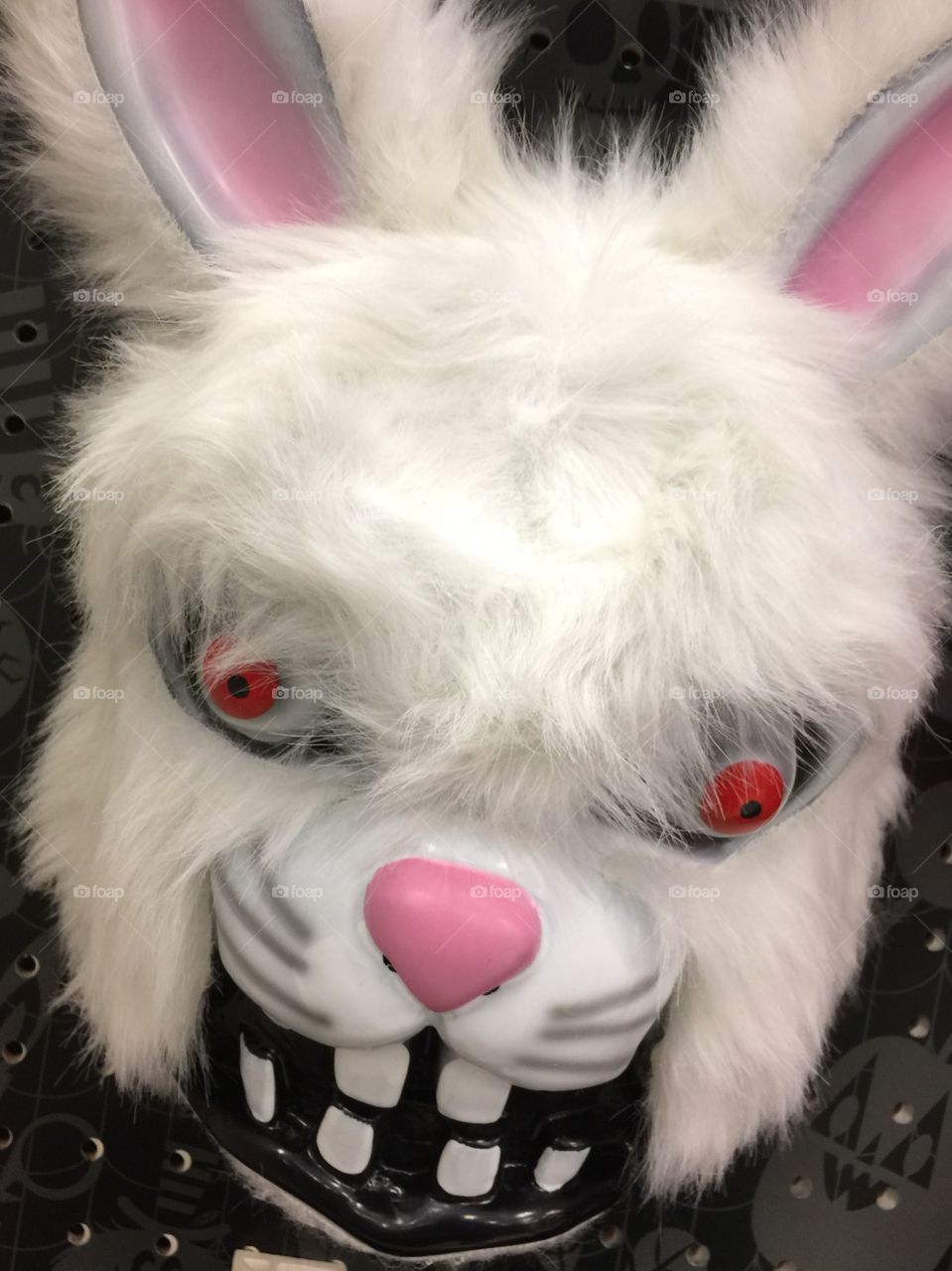 Evil Rabbit