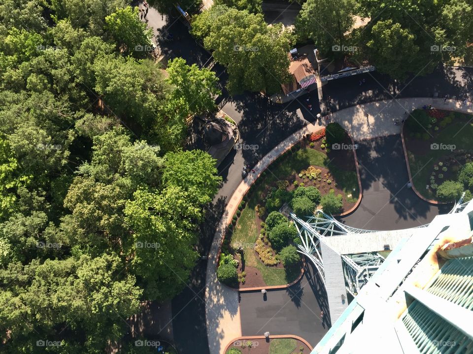 Looking down from tall building at trees and street