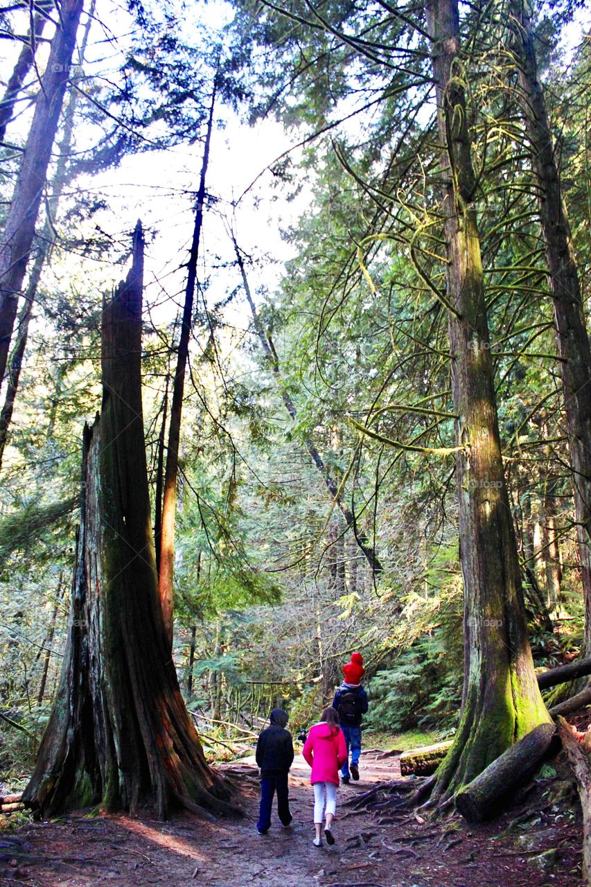 Hiking trail 