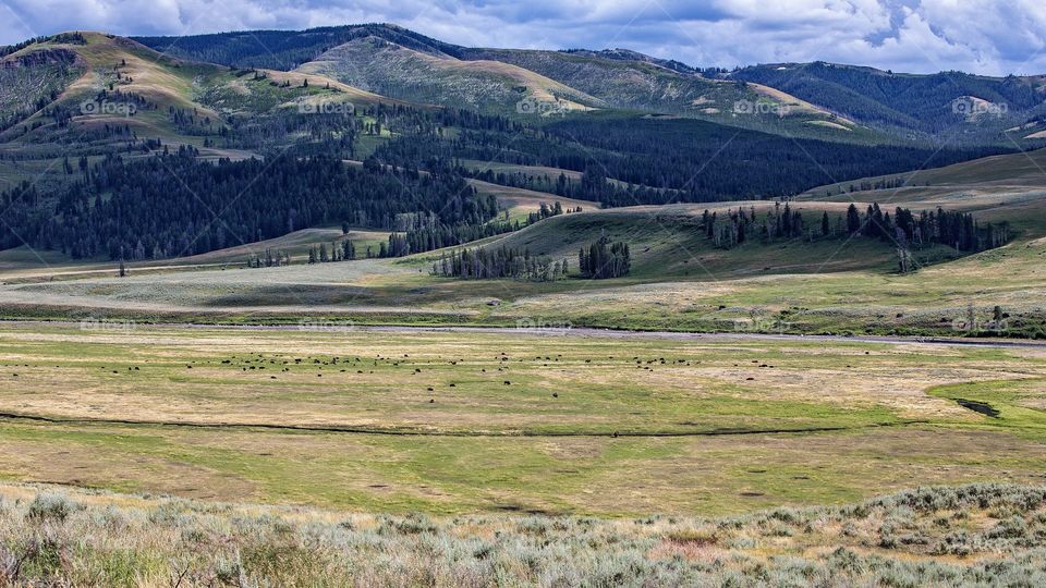 View of Lamar Valley in Wyoming