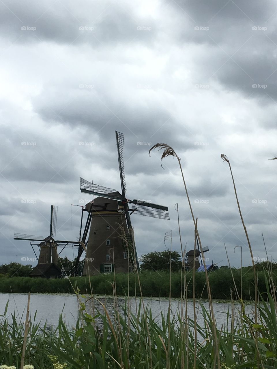Windmills at Kinderdijk 