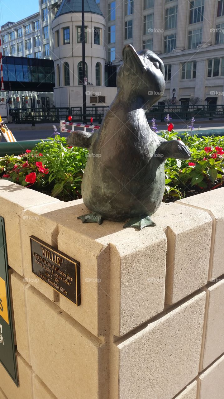 A duck statue in Milwaukee, during the summer.