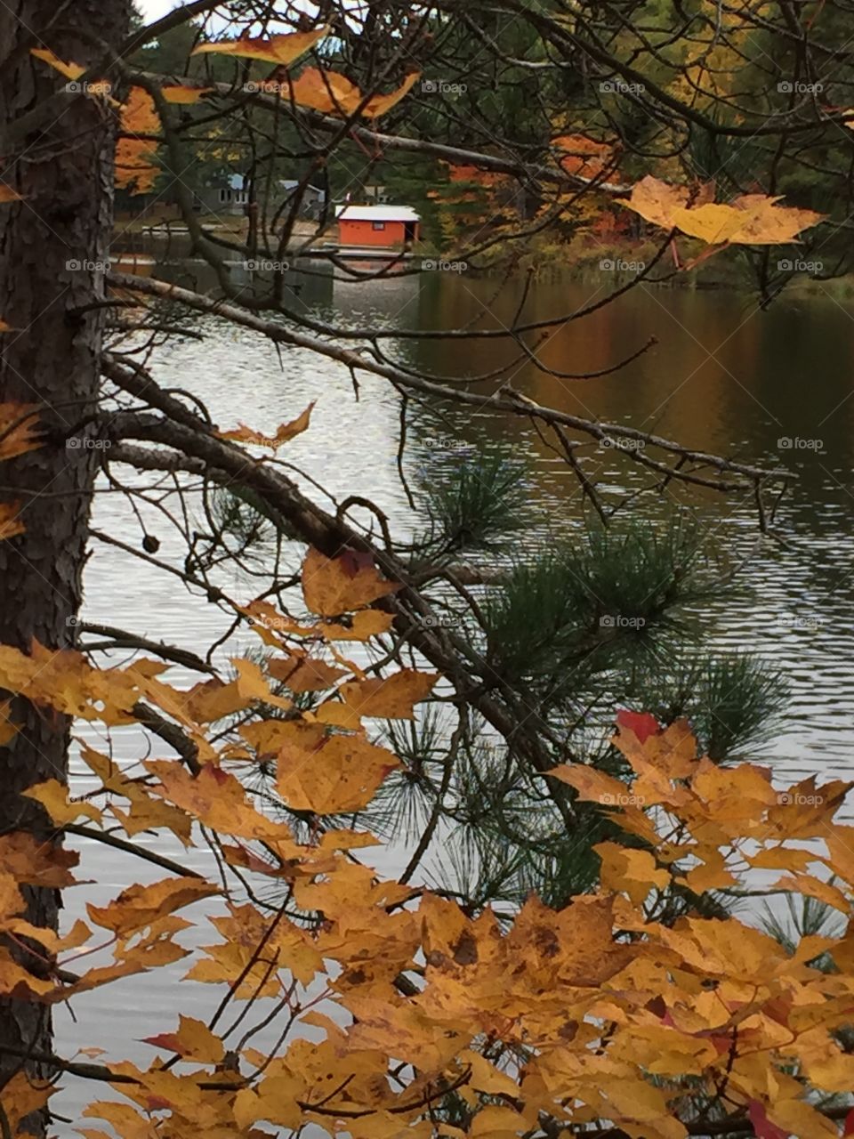 Orange boat house