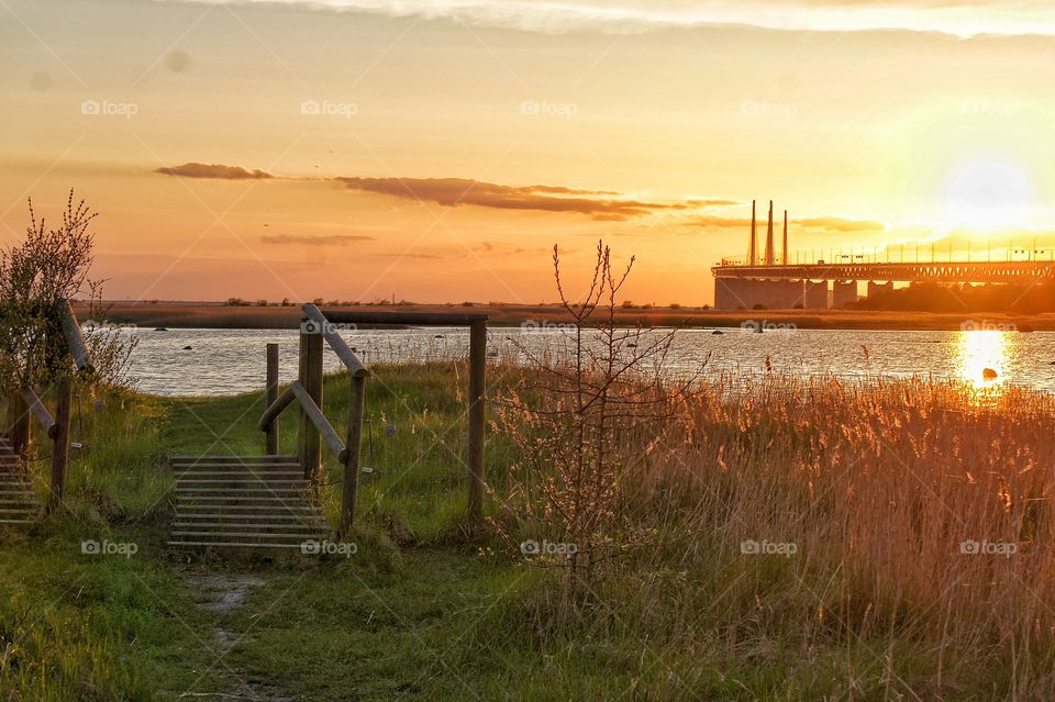 Öresundsbron from the meadow