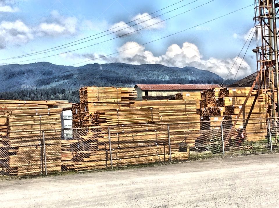 Lumber Mill. Lumber Mill