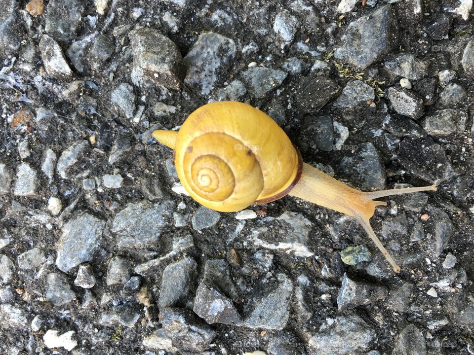 Getting through the day.