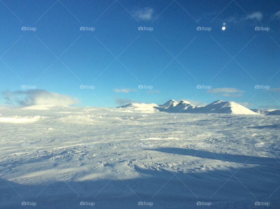 Snowy mountains in the forest