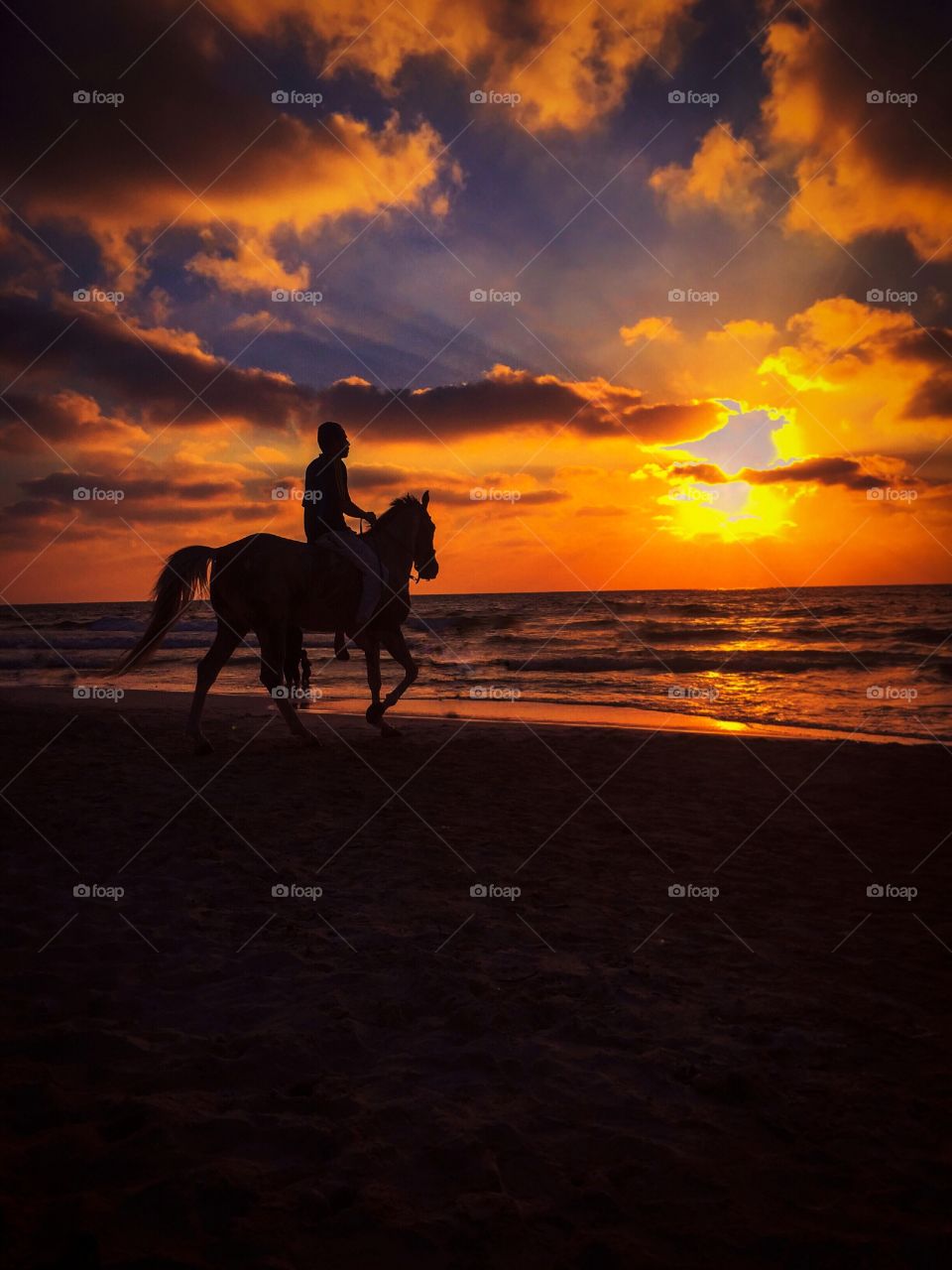 Sunset and a horse 