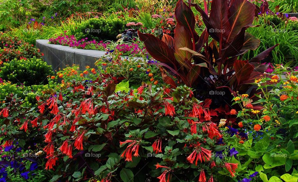 Beautifully landscaped gardens full of bright flowers and bushes in a park on a sunny summer day. 