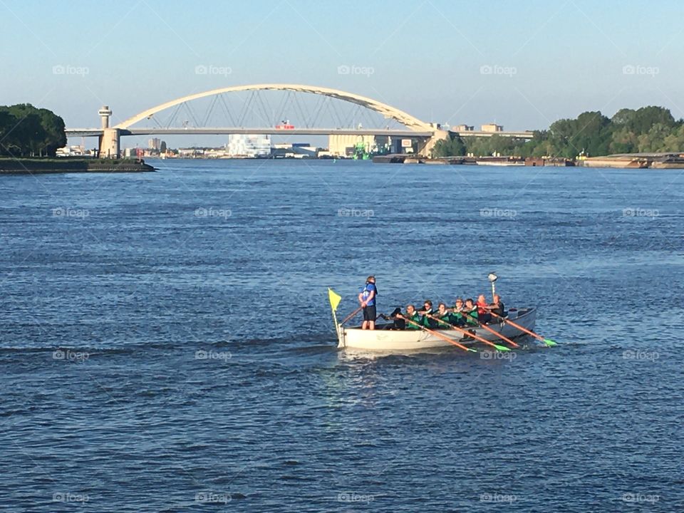 Rowers in the Rotterdam harbor Brienenoordbrug