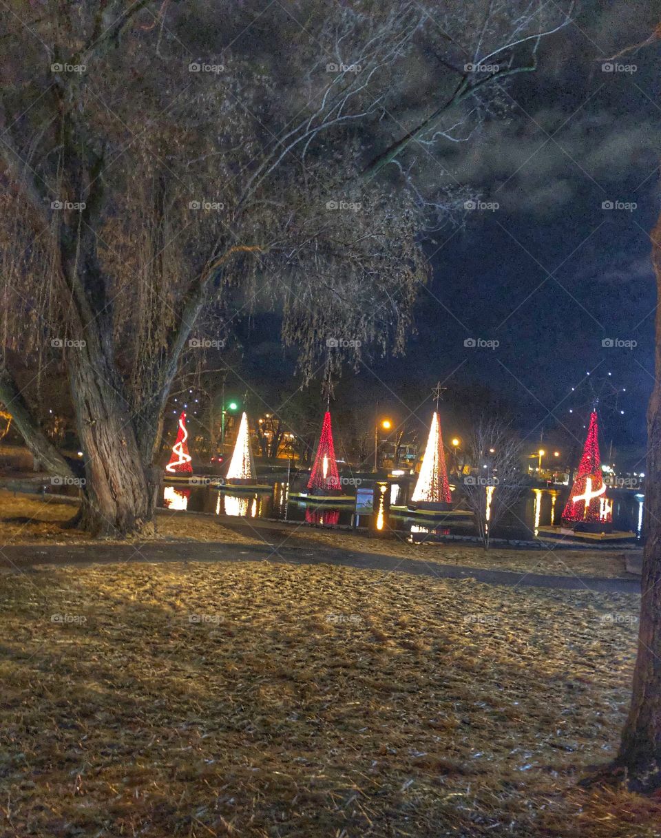 Christmas lights outdoor display 